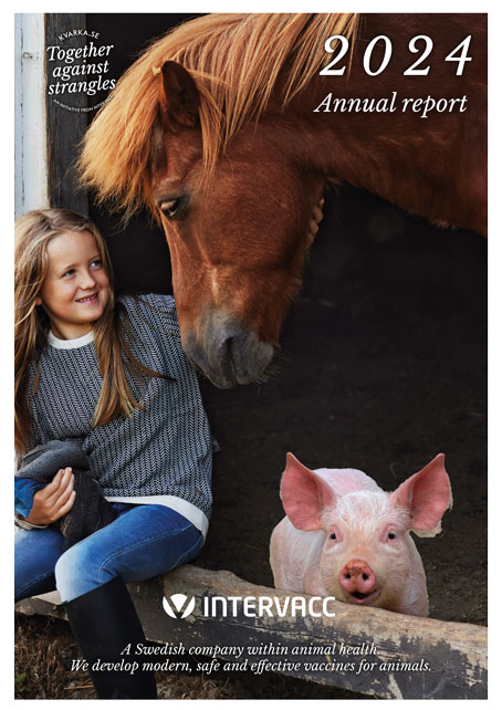 Click to download Annual report 2024